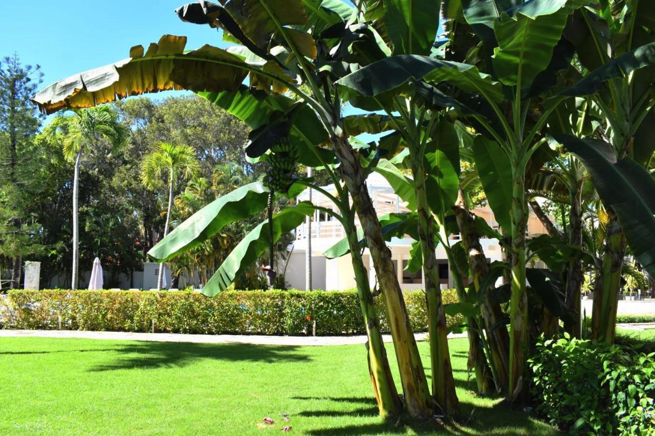 Tropical Casa Laguna キャバレテ エクステリア 写真