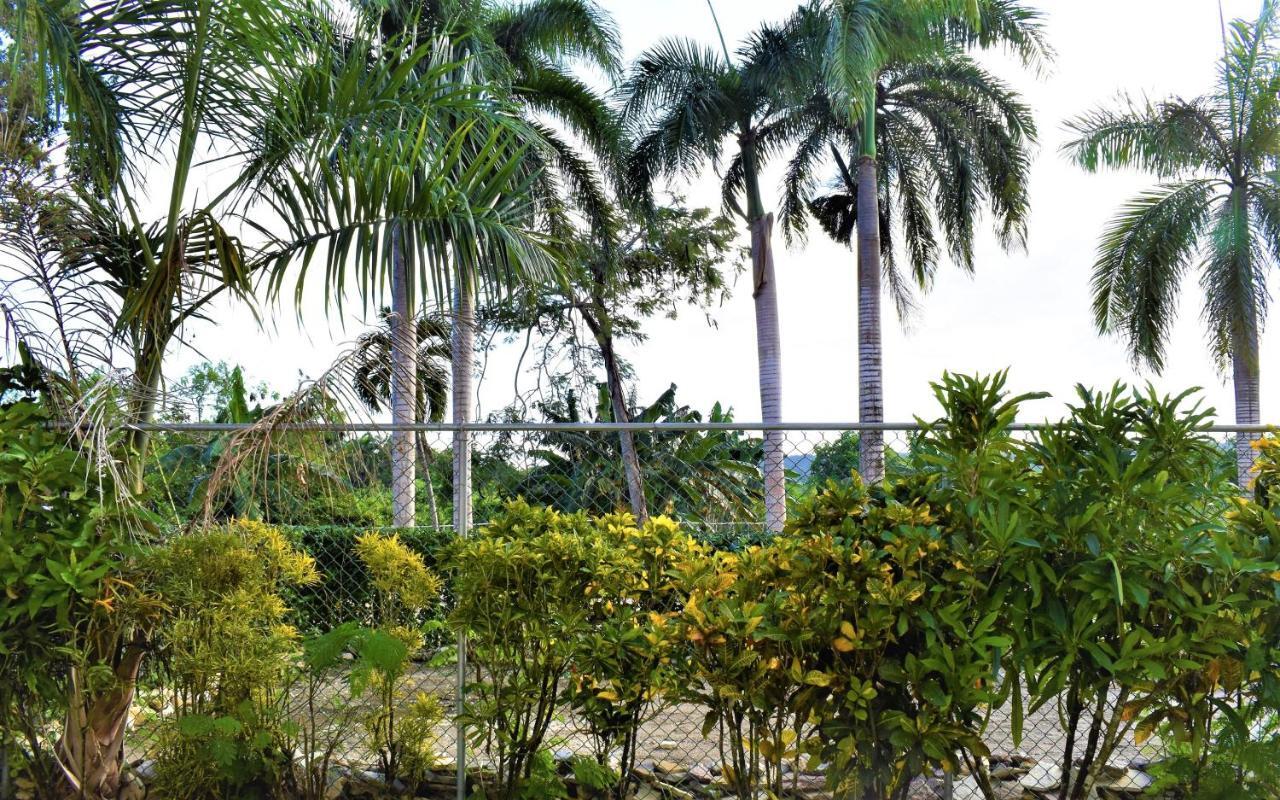 Tropical Casa Laguna キャバレテ エクステリア 写真